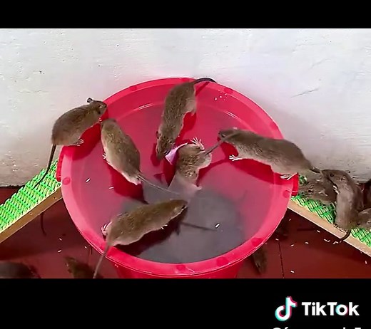 #handmade #diy #process #technology #fyp | Handmade Items