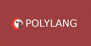 Polylang Pro WordPress translation plugin v2.8.4