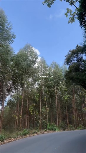 Que Bolero 📻 Se Me Olvido Tu Nombre - Roberto Ledesma | Dj Sonerito