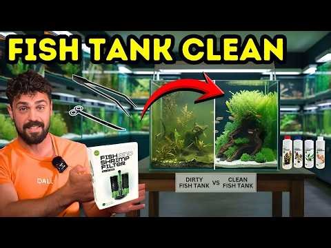 Fish Tank Maintenance Simplified: Weekly Routine