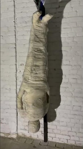 Horror moving props - Mummy