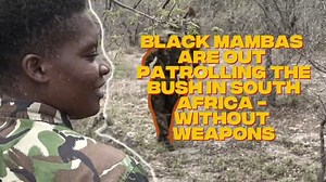 1.6K views · 121 reactions | The story that began in the South...