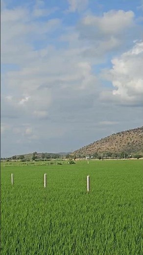 The Most Powerful Nature Documentaries