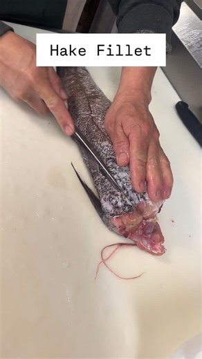 Mastic Seafood on Instagram: "Hake Fillet is a must try! 🐟 Flaky, white, with a sweet flavor! 🔥🔥"