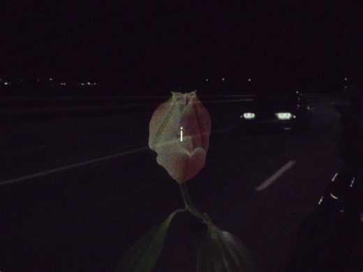 The Timeless Appeal of the BMW E39 Series