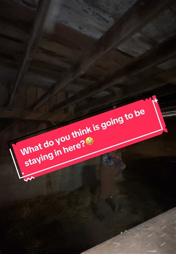 Stay tuned friends 😝 @Allie @Taylor Workman