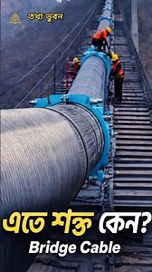 ব্রিজের শক্তি রহস্য | Bridge Cable Power #shorts #তথ্যভুবন #modernengineering