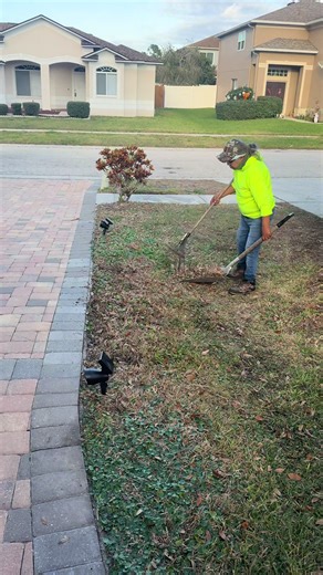 Easy Leaf Picking Techniques in Central Florida