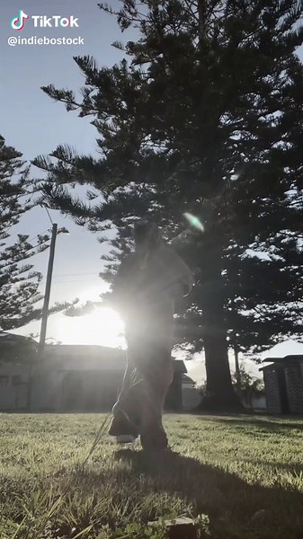 indiebostock (@indiebostock)’s videos with Cha cha slide hardino remix - Nathan