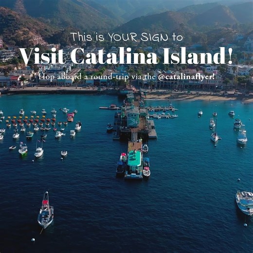 Embark on a thrilling island adventure with Catalina Flyer! Our...