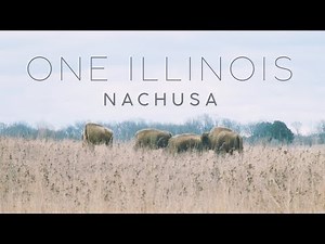 The Nachusa Grasslands - An Illinois Story