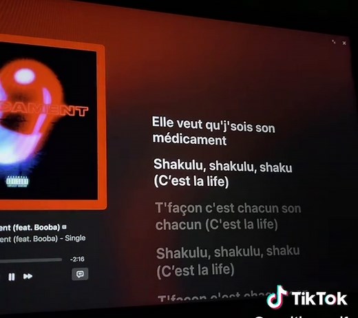 Medicament - Niska & Booba #song#rapfr#musique#Niska#Booba#🎧