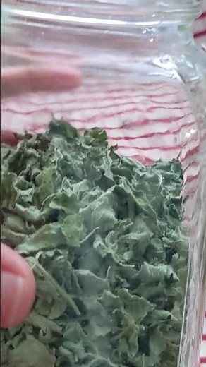 How to Dehydrate Oregano without a Dehydrator - Garden to Table
