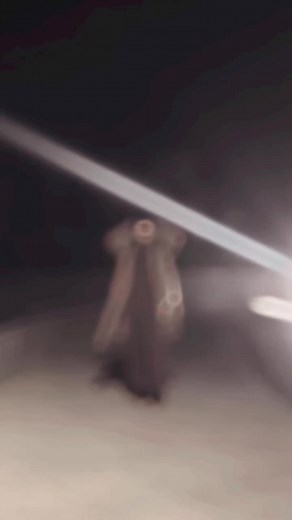 boss lady.#viralvideo #lyrics #trending #hania #foryou