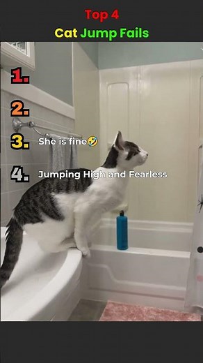 Top 4 Cat Fails That Will Make You Laugh Instantly 😂🐱