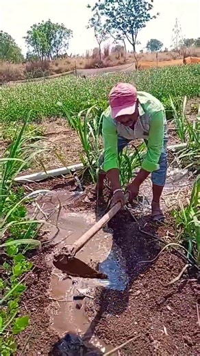 शेतकरी राजा 🤴