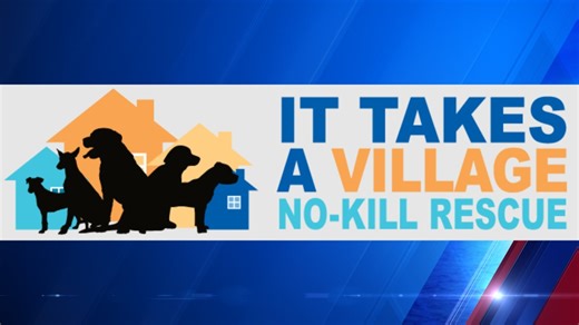 Daviess county animal shelter requesting help following animal hoarding case