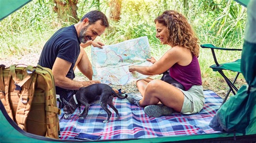 The 10 Most Mild Cities in Virginia for Outdoor Living