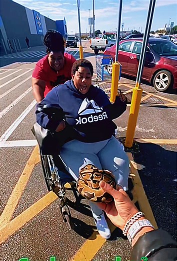 Hilarious Snake Prank That Will Make You Laugh