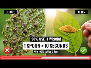 STOP Using Pesticides! Use this instead