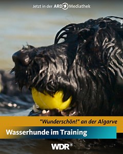 171K views · 946 reactions | Mit rund 300 Sonnentagen im Jahr und...