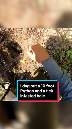 Trapper Mike on TikTok