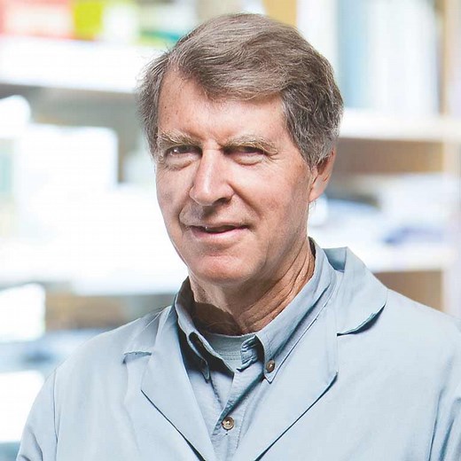 Longtime Salk Professor David Schubert passes at the age of 77 - Salk Institute for Biological Studies