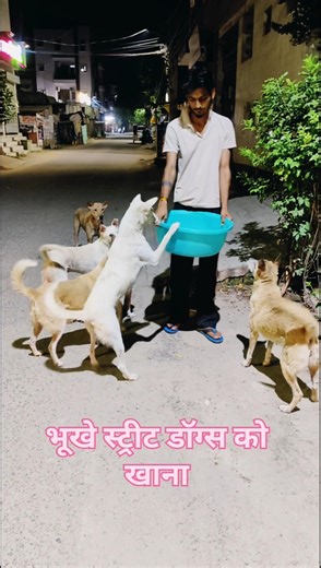 Feeding Hungry Street Dog 🐕🐕 भूखे स्ट्रीट डॉग को खाना 🐕 Farmamrit