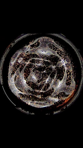 Mica powder reveals the true functional behaviors of frequencies 👁⚛️👁 | David Schiermeyer
