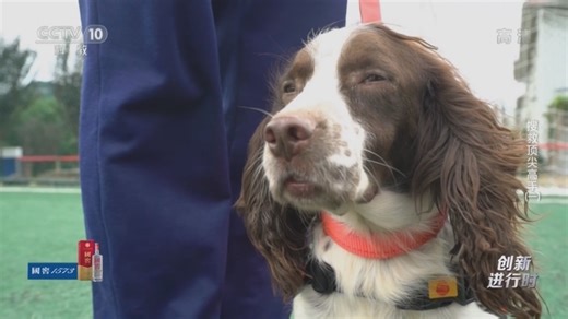 《创新进行时》 20220718 搜救顶尖高手（一）