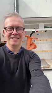 Will the real LEGO Hummingbird please stand up? #seankenney #seankenneyart #artwithlegobricks #legosculpture #crate #behindthescenes | Sean Kenney's art with LEGO bricks