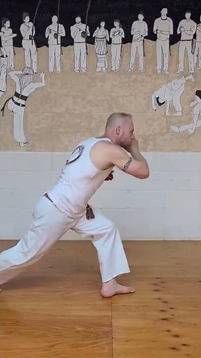 Armada - Capoeira basick kicks