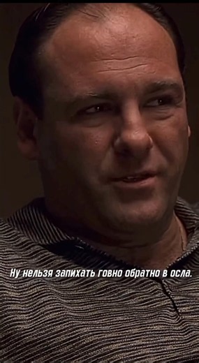 The Sopranos — an iconic series about Tony Soprano, a New Jersey mafia boss 🎬 #thesopranos #series
