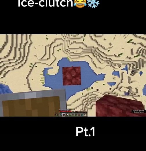 Squashed_dreams on TikTok