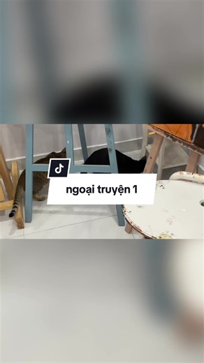 Bọ Hung và Những Chuyến Bay Kỳ Thú
