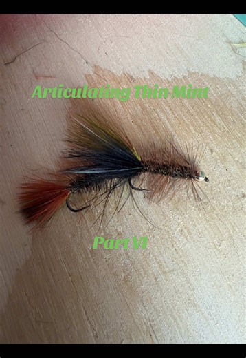 Part VI tying the articulated thin mint streamer. Materials list in part I.#fyp #streamerfishing #flyfishing #flytying #fishing