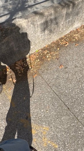 Leroy Williams on Reels