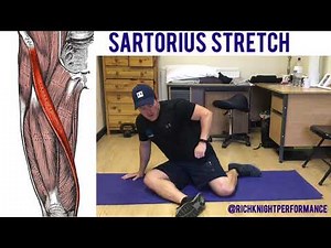 Sartorius Muscle Stretch