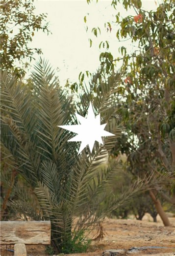 saporiginals على TikTok