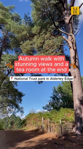 This is the brilliant autumn walk near Manchester with stunning views over Cheshire and Greater Manchester - and there's a tea room at the end too! 🍂 🙌 It's at the National Trust park at Alderley Edge - and you can find it around 1.5 miles east of Alderley Edge, with various car parks and public transport options nearby. Head to the National Trust website for more details on finding it. #nationaltrust #autumnwalks #daysout #alderleyedge #manchestereveningnews | Manchester Evening News