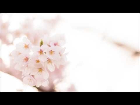 合唱曲 「桜の季節」