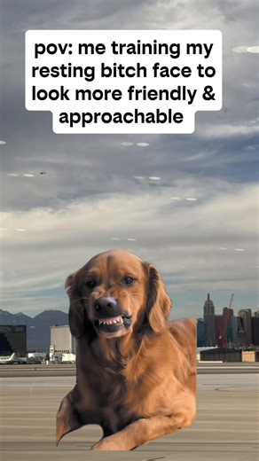 Understanding Facial Expressions and Resting Bitch Face