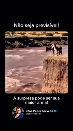 João Pedro Azevedo on Instagram: "Na natureza, o predador que caça sempre da mesma maneira, no mesmo horário e no mesmo lugar, morre de fome. A presa aprende o padrão e o evita. No mundo dos negócios, a previsibilidade é a mãe da irrelevância. Seu time de vendas é previsível? Ele sempre manda o mesmo e-mail de follow-up? Ele sempre oferece o mesmo desconto quando o cliente reclama do preço? Ele usa sempre o mesmo script, sem adaptá-lo para o cliente? Se a resposta for “sim”, seu concorrente já 