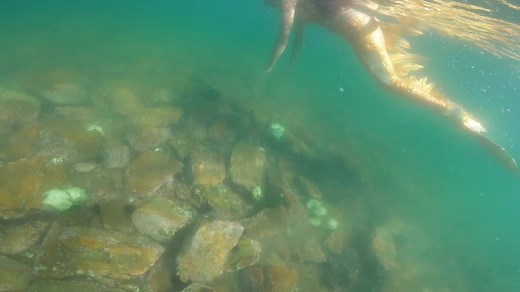 Underwater Mermaid Swim: A Serene Aquatic Experience