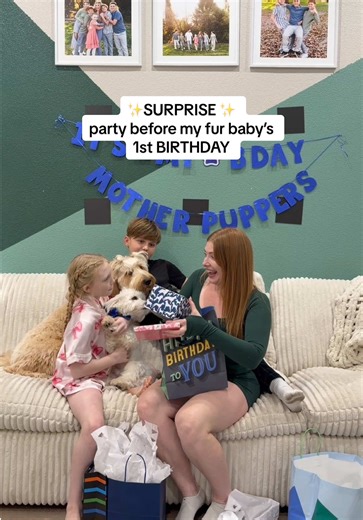 An expected SURPISE setting up and giving my 2nd fur baby gifts & a little surprise party for his 1st birthday 🥹😭 #partysetup #birthdayfairy #furbaby #havapoo #wholesome