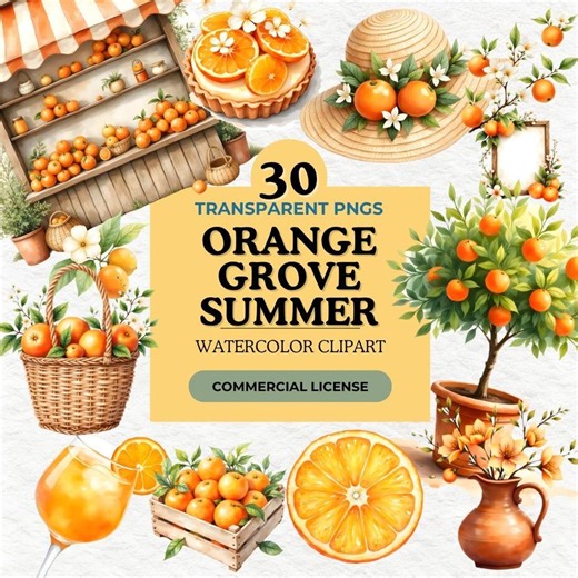 Orange Grove Summer Watercolor Clipart Bundle, Citrus Market PNG Set, Orange Tree Fruit Art, Commercial Use Printable Download Files - Etsy