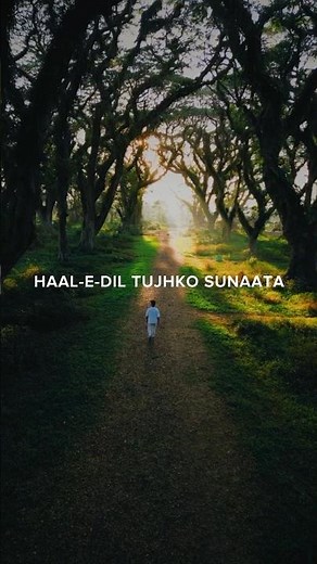 Try With Your Own Voice ( Haal-E-Dil )#hindisong #songlyrics #karaoke #haledil