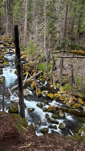 Kaylee Anderson on Reels
