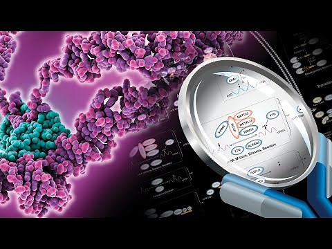 Deciphering the role of RNA-binding proteins in neurodevelopment and disease