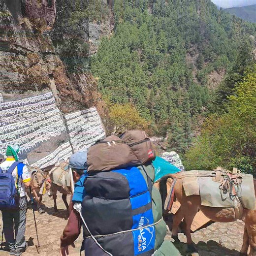 On the way to everest base camp Trekking #trekkinginnepal | Trekking In Nepal